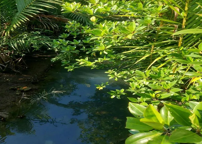 Plaza Eco Park Cebu